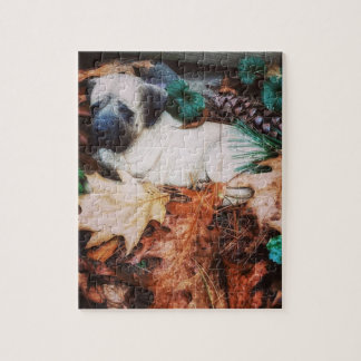 Puzzle Nettoyer le protecteur