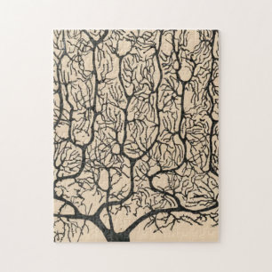 Puzzle Neuron Drawing By Santiago Ramón Y Cajal