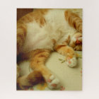 Nite Nite rêvant la casse-tête de chat