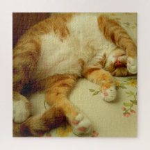 Nite Nite rêvant la casse-tête de chat