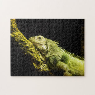 Puzzle noble d'iguane