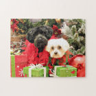 Noël - maltais - Annie et YorkiePoo - Hannah