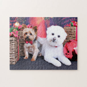 Puzzle Noël - Yorkie maximum - Bichon Frise Mori