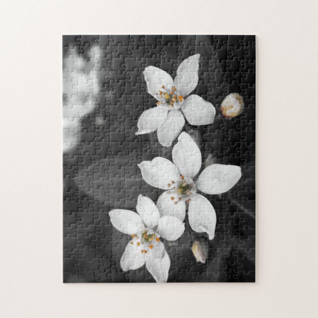 Puzzle noir et blanc de photographie de fleur (Vertical)