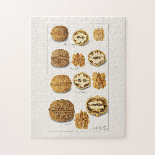 Puzzle Noix (Juglans) Fruit Aquarelle Peinture Jigsaw