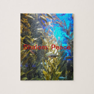 Puzzle Noms d'un DIEU w/Meaning Shalom : Paix