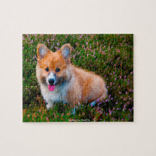 Puzzle Notre Corgi, l'animal de compagnie de notre famill