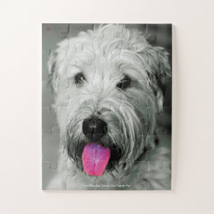 Puzzle Notre Terrier Wheaten, l'animal de compagnie de no
