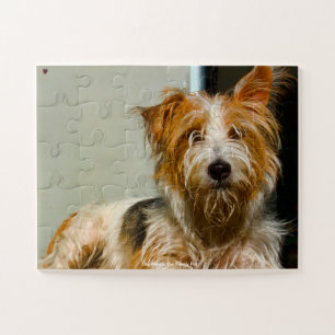 Puzzle Notre Westie, l'animal de compagnie de notre famil