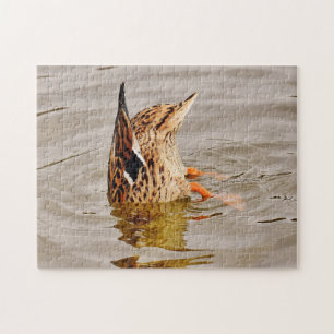 Puzzle Nourriture de canard de Majard sous l'eau