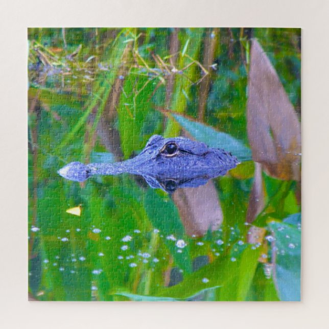 Puzzle Nous aimons Aligator's en Floride (Vertical)