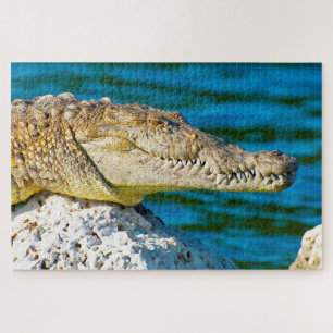 Puzzle Nous aimons Gators en Floride