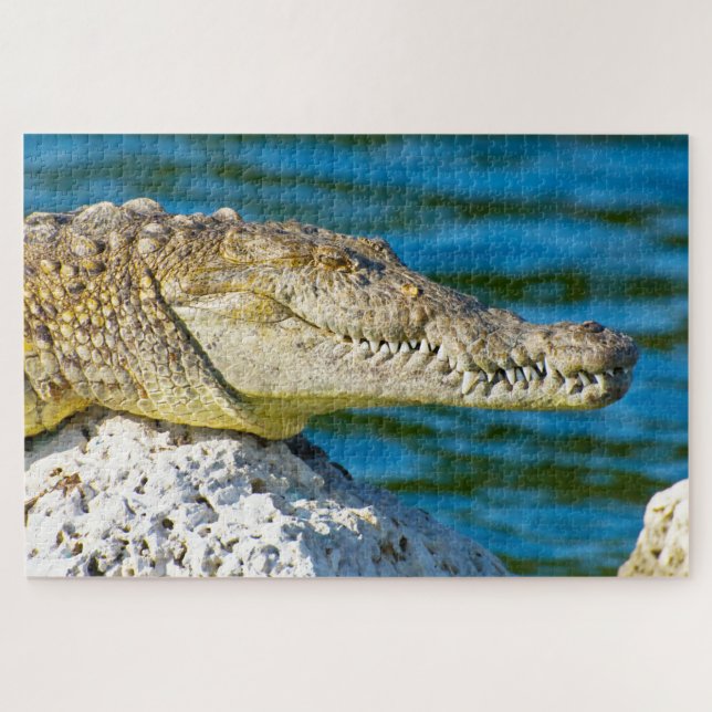 Puzzle Nous aimons Gators en Floride (Horizontal)