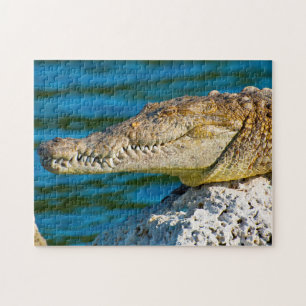 Puzzle Nous aimons Gators en Floride