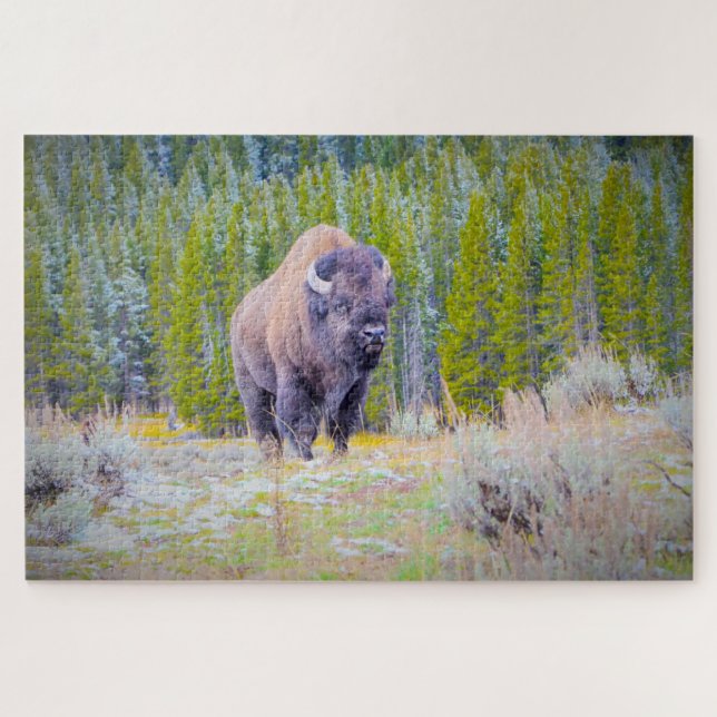 Puzzle Nous aimons le bison dans le Wyoming (Horizontal)