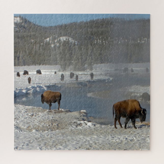 Puzzle Nous Aimons Le Wyoming Au Bison. (Vertical)