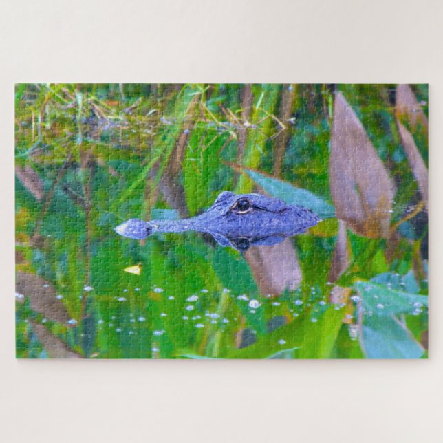 Puzzle Nous aimons les Aligators en Floride (Horizontal)