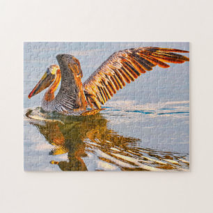 Puzzle Nous aimons les Pélicans bruns Floride
