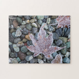Puzzle Nous, Wa, Bainbridge Island. Gelée matinale 2