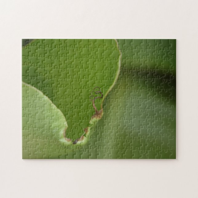 Puzzle Nouvelle photo couleur verte en feuille de bananie (Horizontal)
