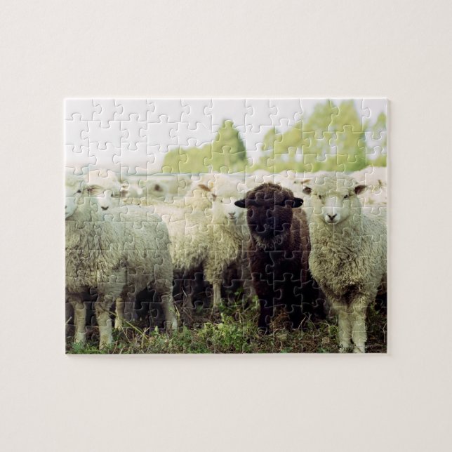 Puzzle Nouvelle-Zélande (Horizontal)