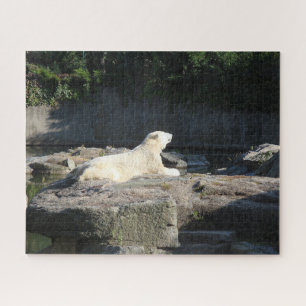 Puzzle Noyer l'ours polaire du zoo de Berlin