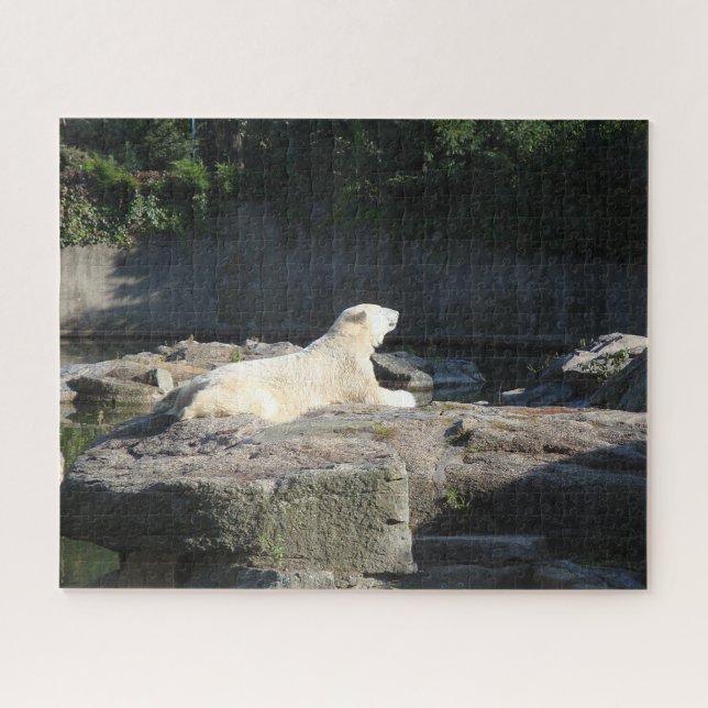 Puzzle Noyer l'ours polaire du zoo de Berlin (Horizontal)