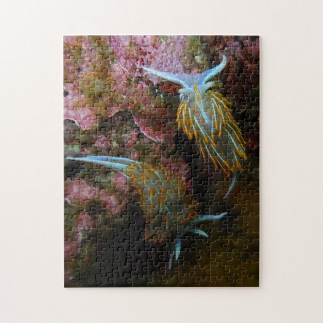 Puzzle Nudibranchs opalescent (Vertical)