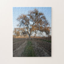 Puzzle: Oak inVineyard with Mistletoe