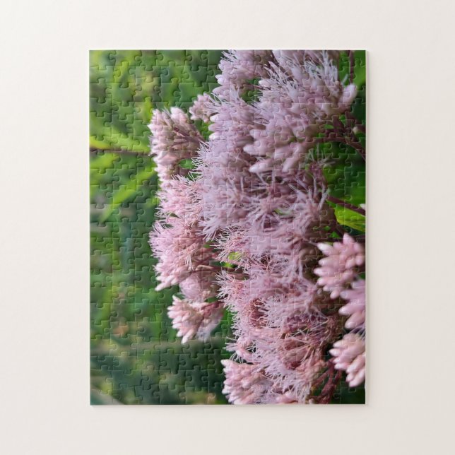 Puzzle Objectif Pye Weed rose (Vertical)