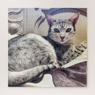Puzzle Ocicat Beautiful Cat ou your Photo Square
