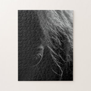 Puzzle Oeil D'Un Cheval