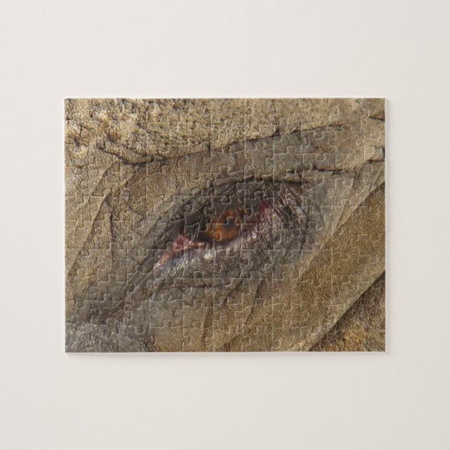 Puzzle Oeil éléphant (Horizontal)