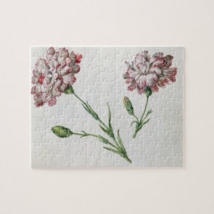 Puzzle Oeillets (la semaine sur le papier)