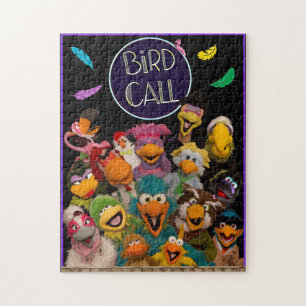 Puzzle of the Bird Call cast