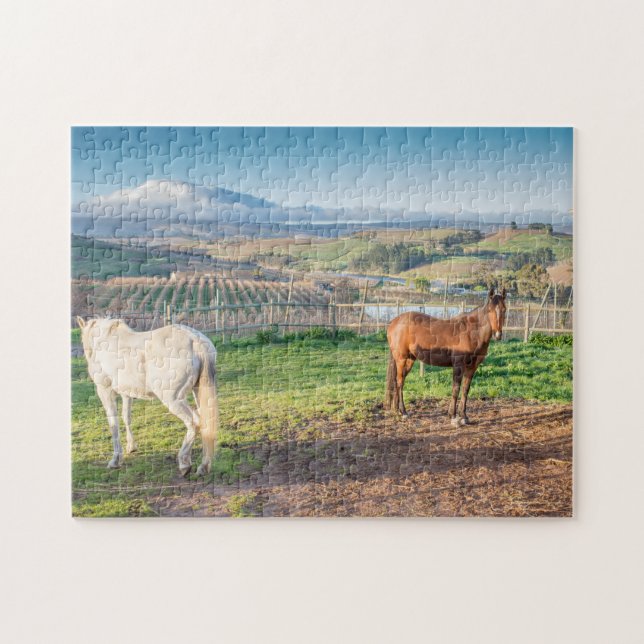 Puzzle of Two Arabian Horses (Horizontal)