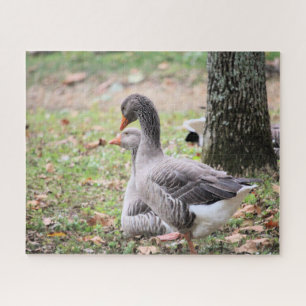 Puzzle Oie