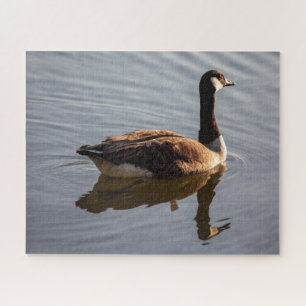Puzzle Oie canadienne sur le lac