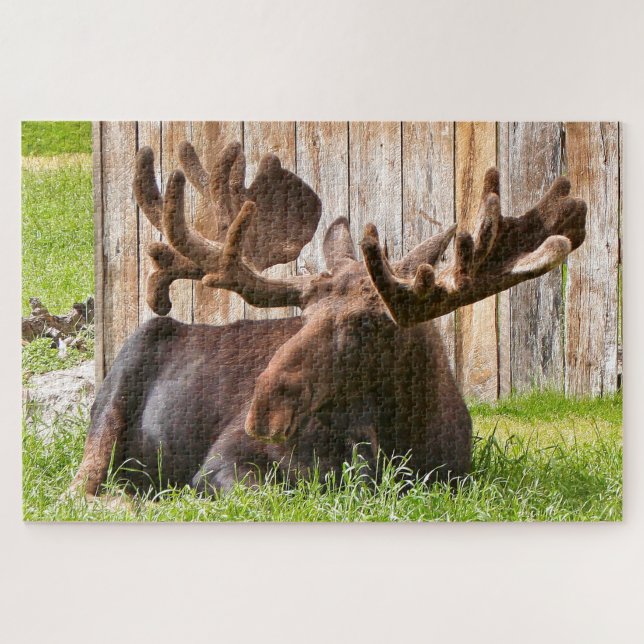 Puzzle Oie d'Alaska relaxante (Horizontal)