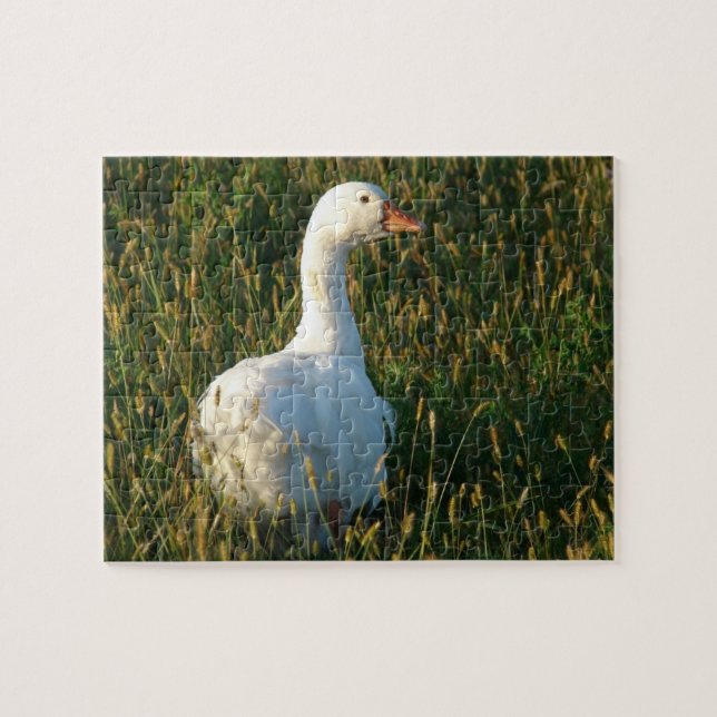 Puzzle Oie dans l'herbe au coucher du soleil (Horizontal)