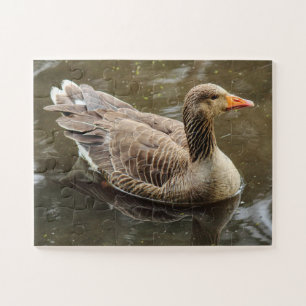 Puzzle Oie du laitier. Lac Roath Park, Cardiff, Pays de G