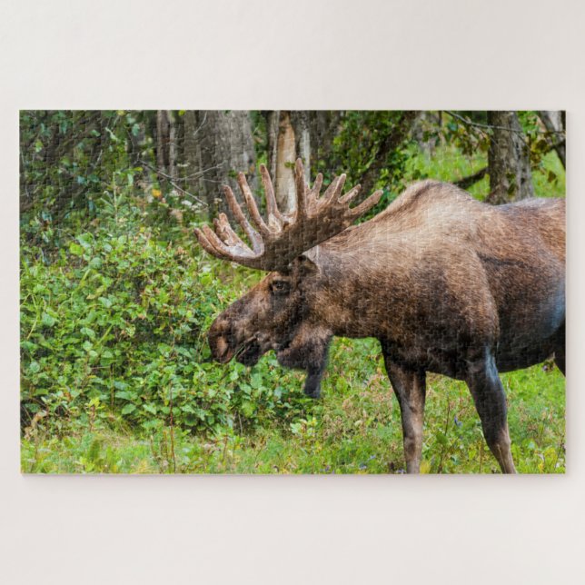 Puzzle Oie | Péninsule de Kenai, Alaska (Horizontal)