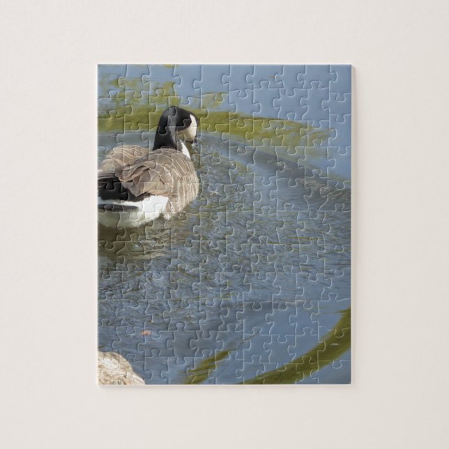Puzzle Oie sauvage nageant dans le lac, Cercle d'eau (Vertical)