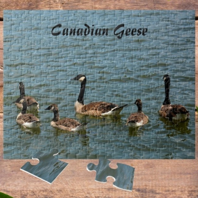 Puzzle Oies canadiennes sur le lac Photographie (Créateur téléchargé)