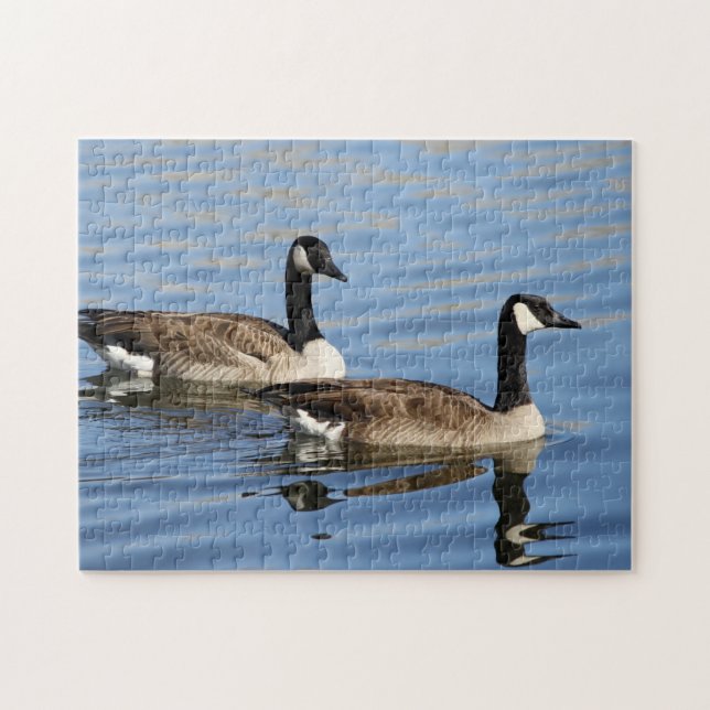 Puzzle Oies sur l'eau (Horizontal)