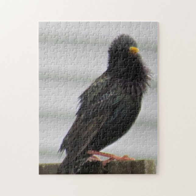Puzzle Oiseau à tête floue (Vertical)
