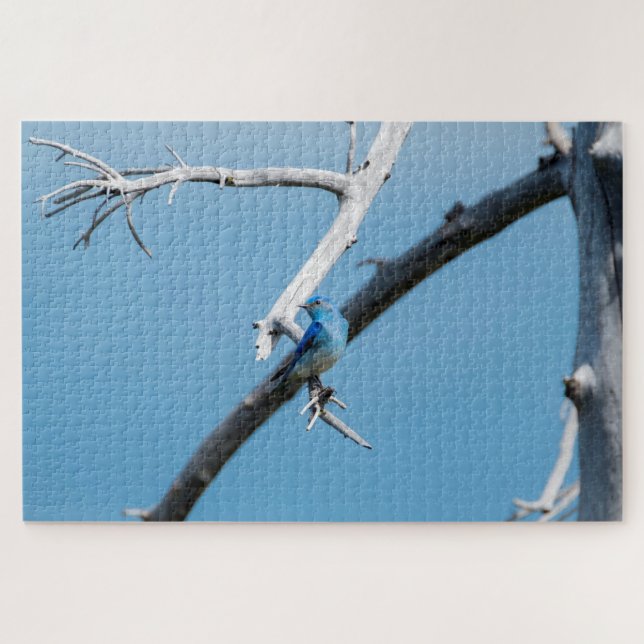 Puzzle Oiseau bleu de montagne (Horizontal)