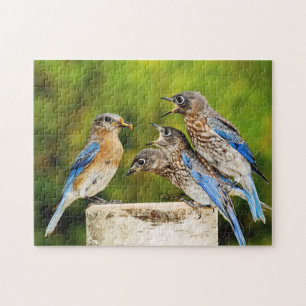 Puzzle Oiseau bleu oriental