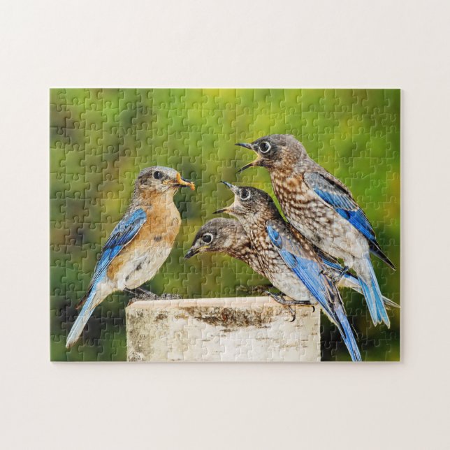 Puzzle Oiseau bleu oriental (Horizontal)