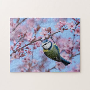 Puzzle Oiseau bleu Tit en fleurs de cerisier japonais ros